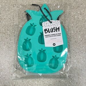 Pineapple Ice Cube Tray and set of 6 Silicone stretchy lids, no more Saran Wrap